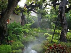 -Chom Cafe and Restaurant