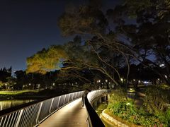 -四海公园(南山区)