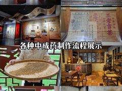 -广东中医药博物馆