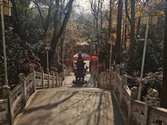 -九华山公园