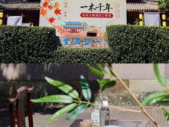 -宁波市保国寺古建筑博物馆