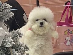 -FAELING PETS美天灵宠物(合生汇店)