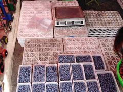 -重振华中蔬菜批发市场(重庆中路店)