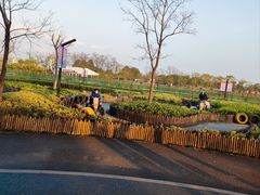-季高兔窝窝亲子园(上海薰衣草公园店)