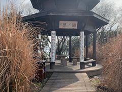 -渤公岛生态公园