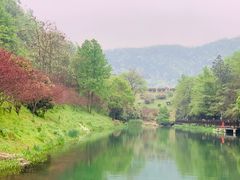 -桃花岭景区