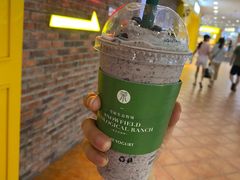 -茉酸奶(松江开元地中海店)