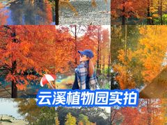 -云溪植物园