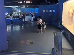-重庆欢乐海底世界