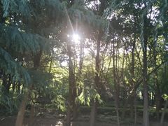-蠡湖大桥公园
