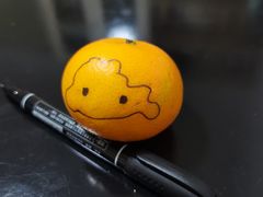 -皇马假日醉海南大酒店·假日一品派茶楼(秀英店)