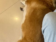 -平行世界·猫咖(首经贸店)