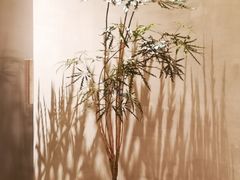 -二酉书店TOYOU BOOKS