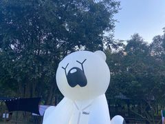 -南宁良凤江国家森林公园