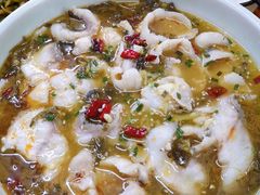 酸菜鱼片-胡子饮食店