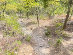 -北京西山国家森林公园