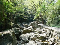 -宁波五龙潭景区