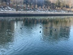 -皇家御河游(紫御湾码头)