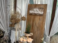 -Jo's Garden