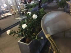 景观位-BeauTea水仙(coco park店)