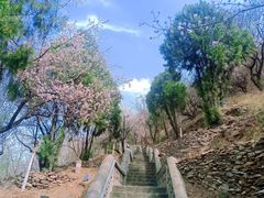 -神木二郎山风景区