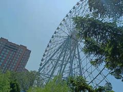 -万泉公园