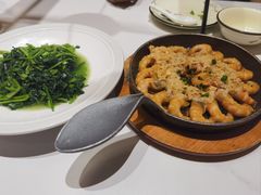 -阿露佳·舌尖上的安吉菜