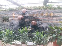 -万源龙顺度假庄园生态观光园