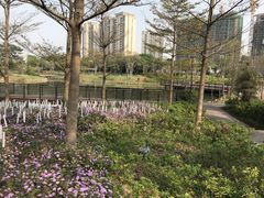 -王借岗森林公园