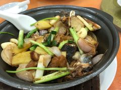 砂锅鱼头-华翔农庄(沙埔店)