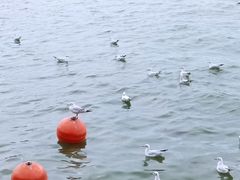 -滇池海埂公园