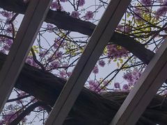 -郑和公园