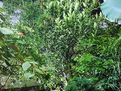 -院子餐厅·大锅菜·老杭帮(桥西直街店)