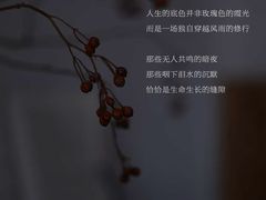 -曼朗心理咨询·旗舰店