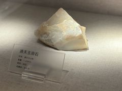 -湖南省地质博物馆