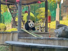 -大连森林动物园