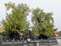 -圆通寺