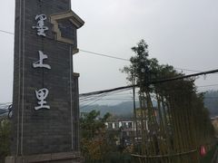 -雅安上里古镇