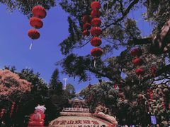 -广州市白云山风景名胜区
