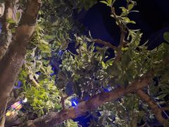 -绿茶餐厅(燕郊永旺店)