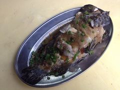 清蒸老虎斑-板桥海鲜广场(文明东店)