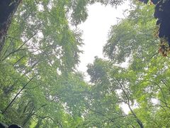 -龙宫洞风景区