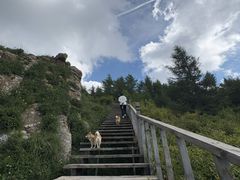 -苏木山森林公园