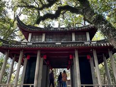 -溪口-滕头旅游景区