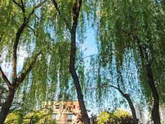 -杭州工艺美术博物馆