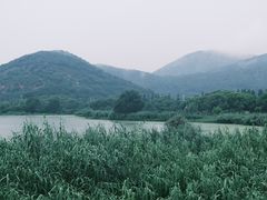 -苏州太湖国家湿地公园