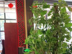 -太婆天府山珍酒楼(亚运村店)