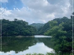 -广州市石门国家森林公园