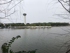 -白洋淀景区