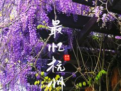 -柳莺湖上·湖景餐厅·江南菜(西湖店)